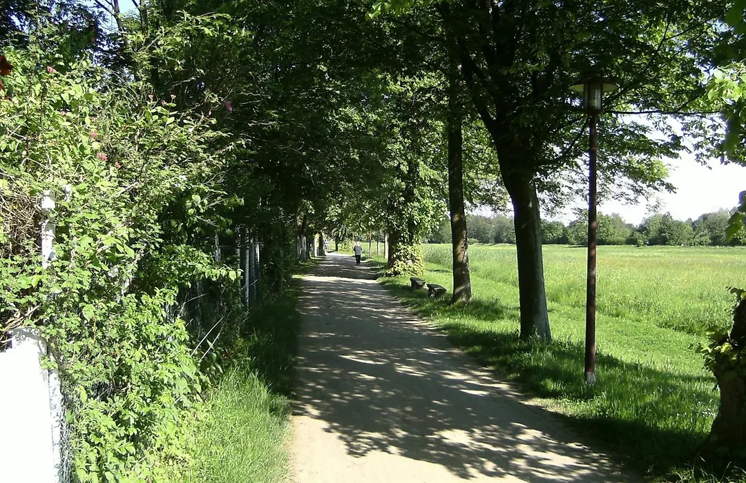 Leisewitz' Garten-1